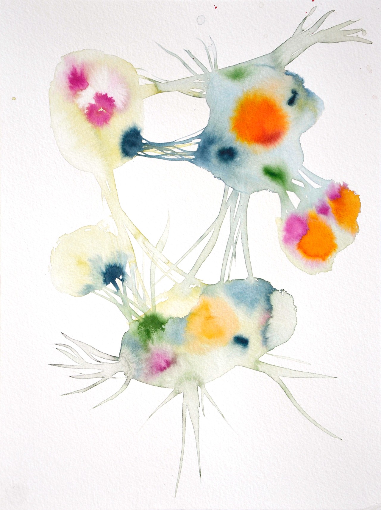 thumbnail_Blaue Quallen